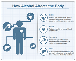 alcohol and affects on the body